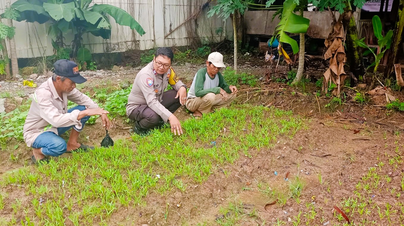 Manfaatkan Lahan Kosong, Bhabinkamtibmas Cakung Timur Bersama Poktan Tanam Bibit Kangkung Dukung Ketahanan Pangan