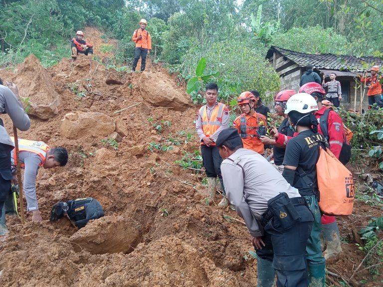 Tanggap Bencana Longsor Pekalongan, Anjing Pelacak Dikerahkan Cari Korban